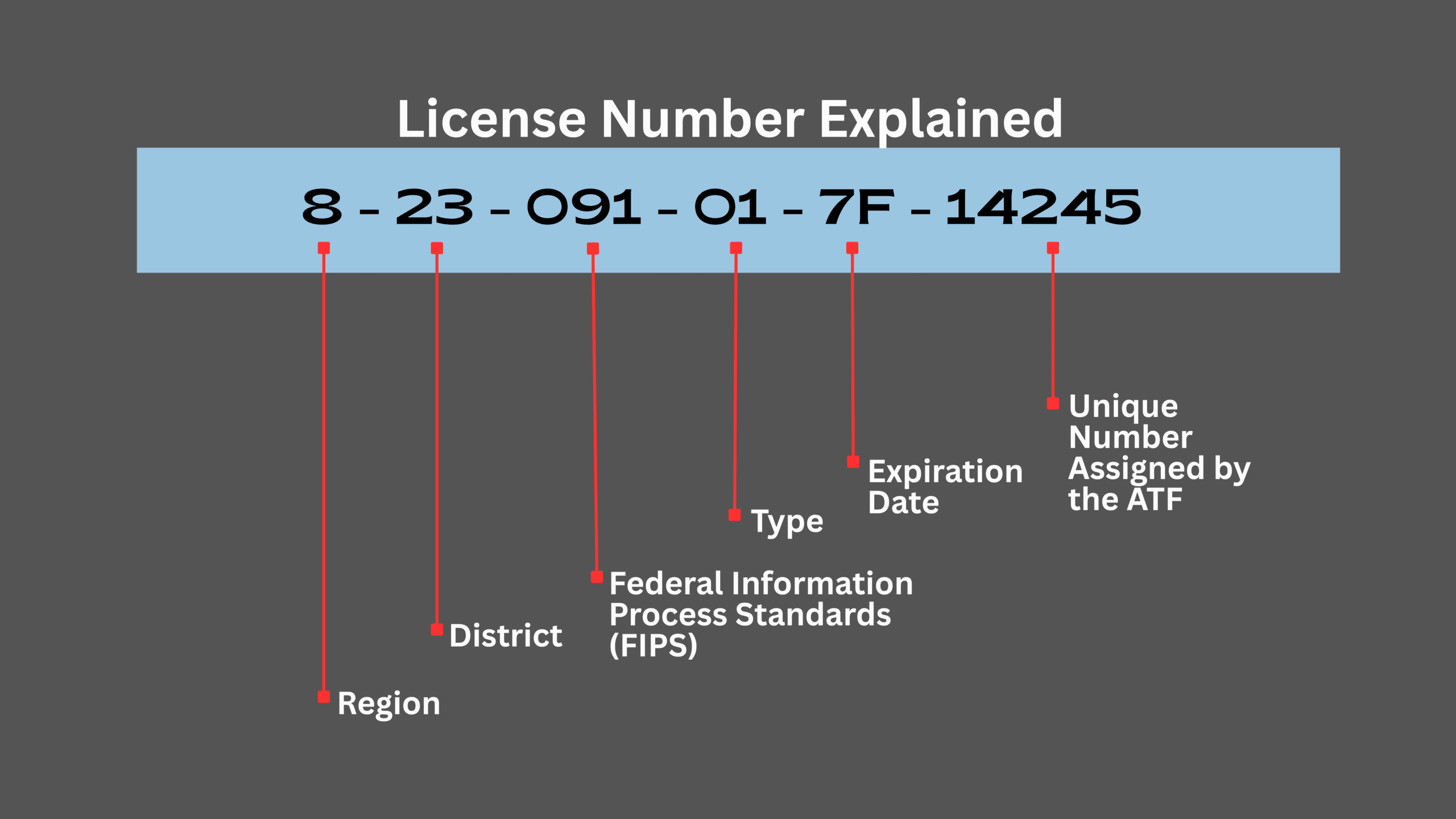 License Number Explained2