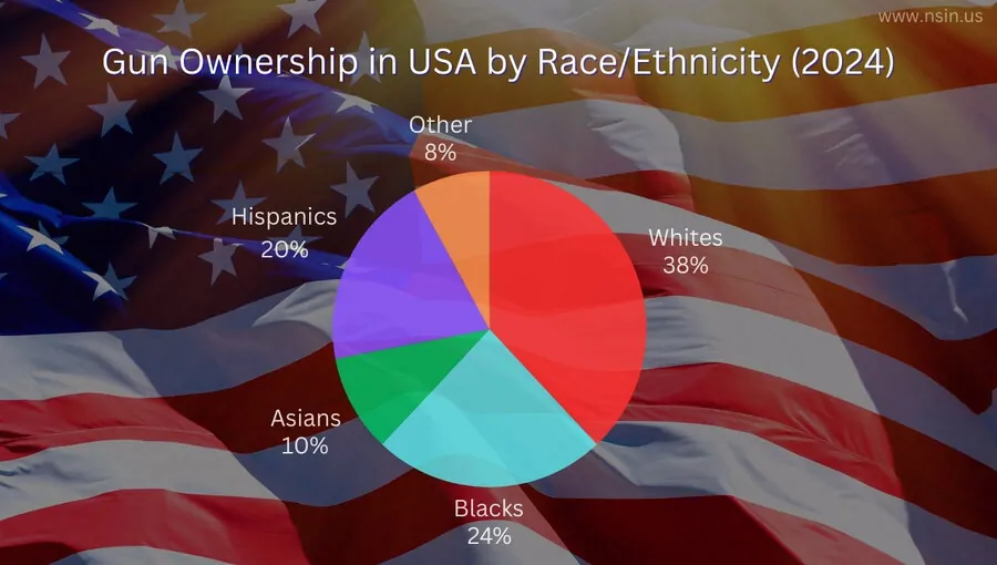 Pie Chart Showing Gun Ownership In Usa By Race